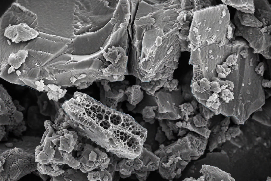 Clinoptilolite Zeolite