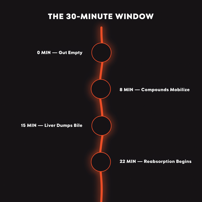 The 30-Minute Window Nobody Told You About