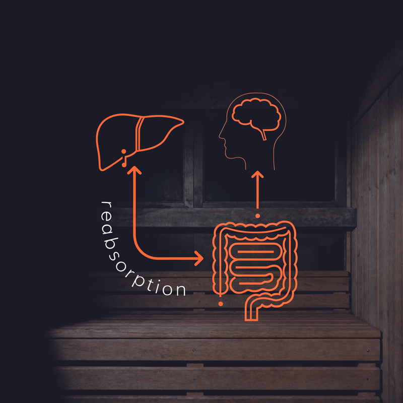 The Recirculation Loop Doesn't Pause for Your Focus