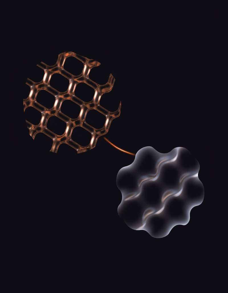 Two Toxin Categories. Two Mechanisms. One Decision to Make.