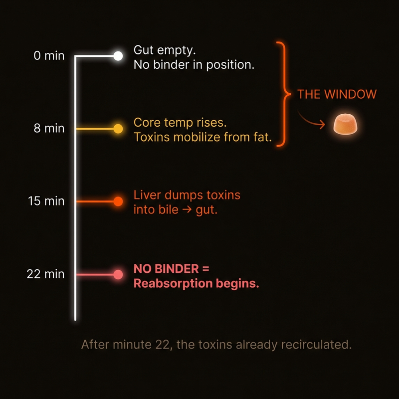 The 30-Minute Window Nobody Told You About
