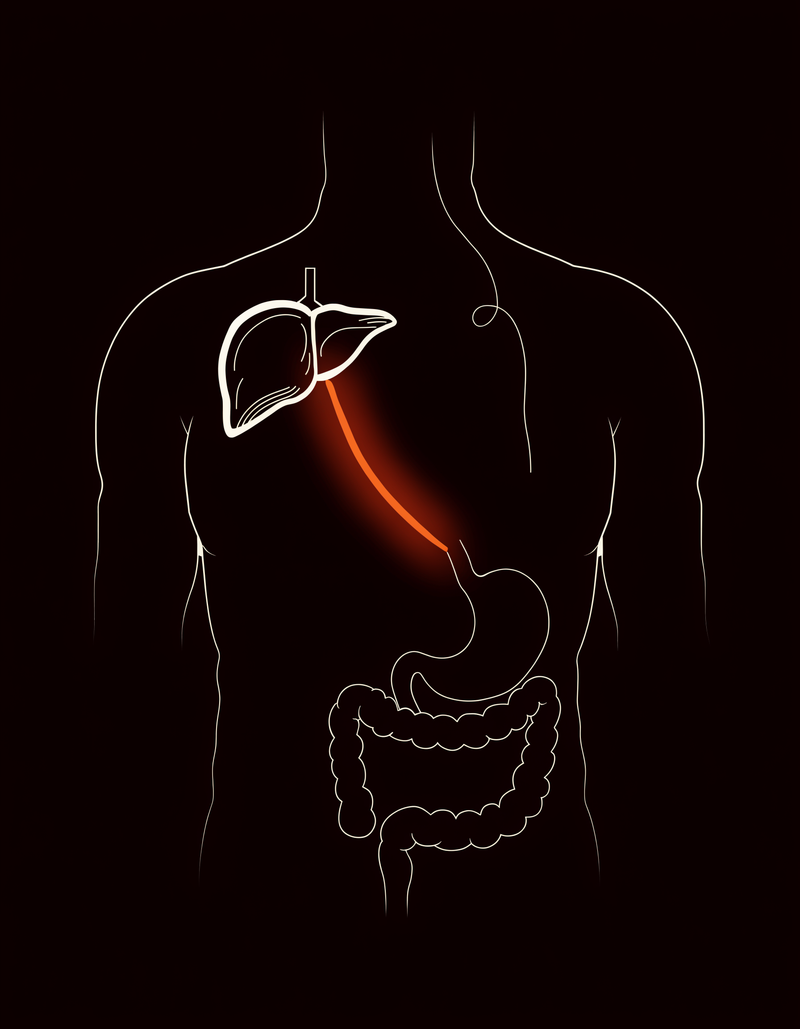 Your Skin Might Be Doing Your Liver’s Overflow Work